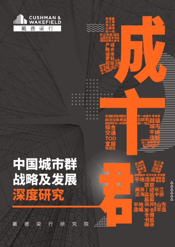 中国城市群战略及发展深度研究
