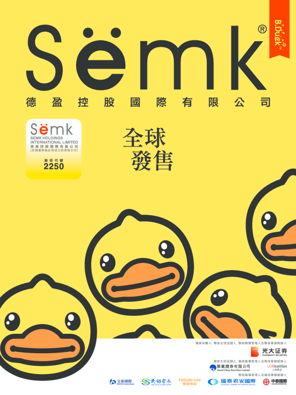 德盈控股招股说明书