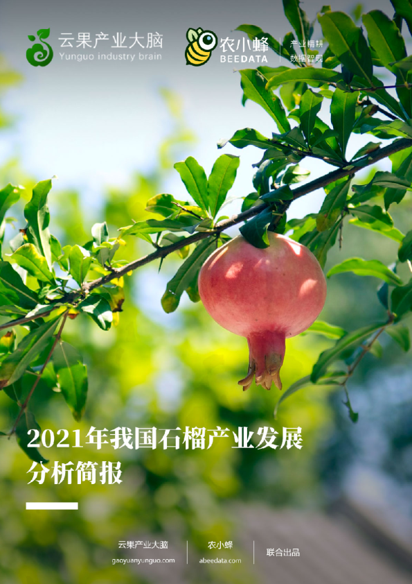 2021年我国石榴产业发展分析简报