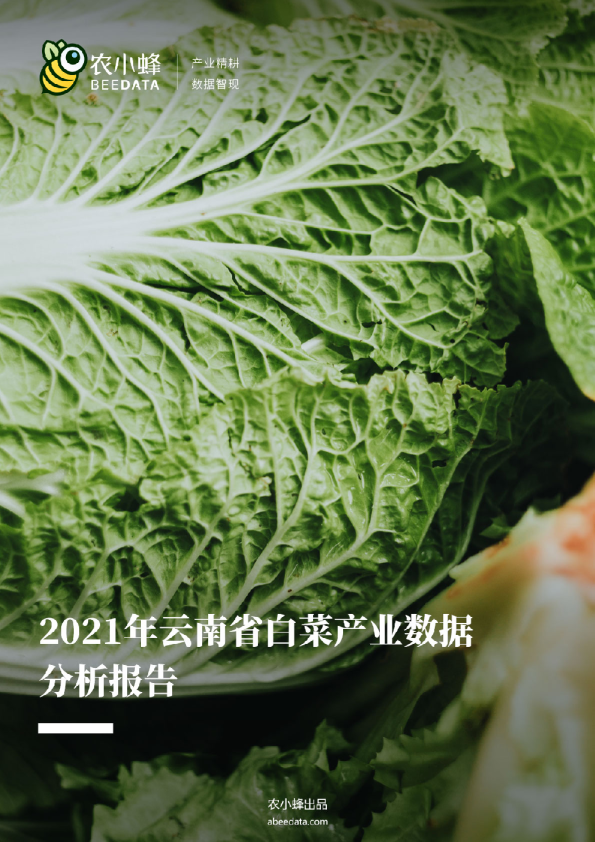 2021年云南省白菜产业数据分析报告