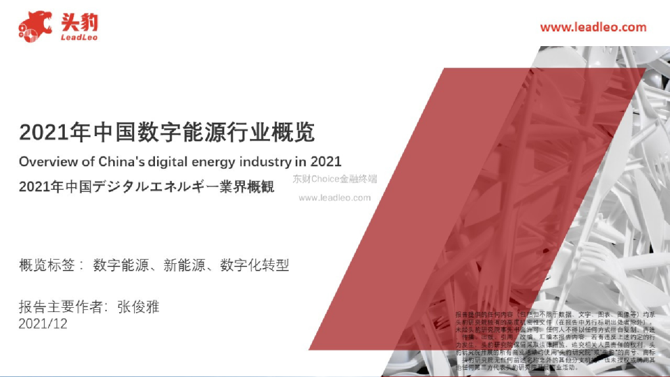 2021年中国数字能源行业概览