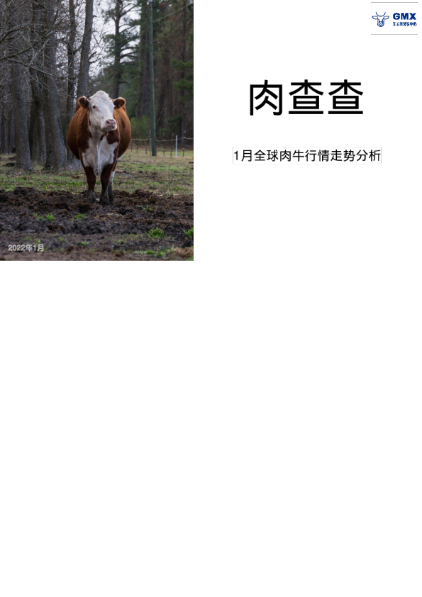 农业行业：1月全球肉牛行情走势分析