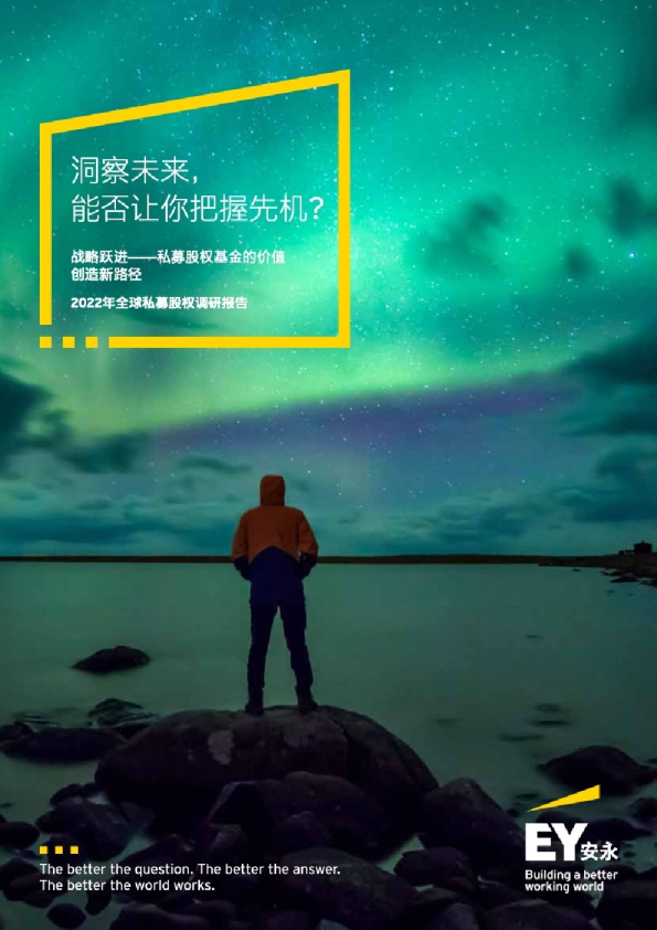 2022年全球私募基金调查