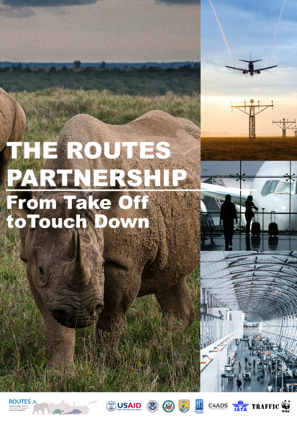 从起飞到着陆的ROUTE联盟