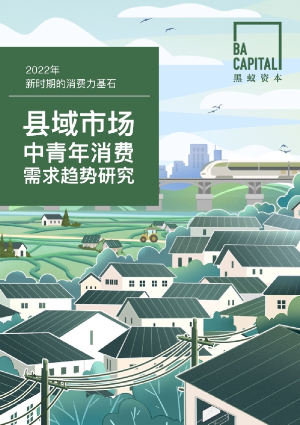 县域市场中青年消费需求趋势研究