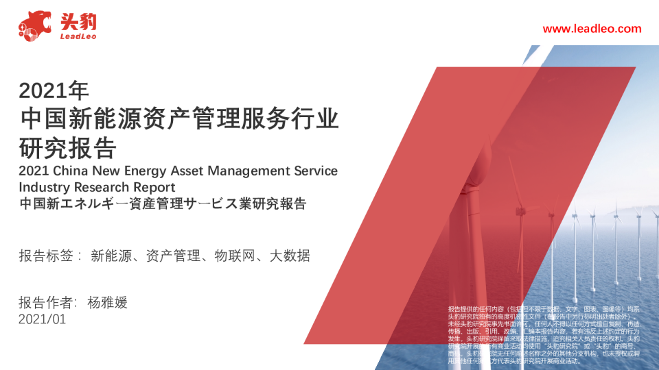 2021年中国新能源资产管理服务行业研究报告
