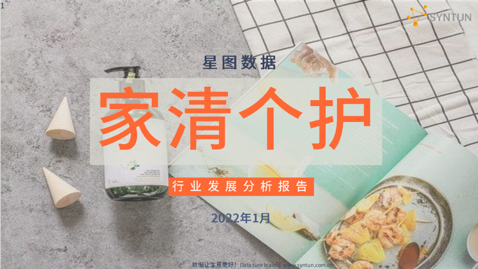 家清个护行业发展分析报告