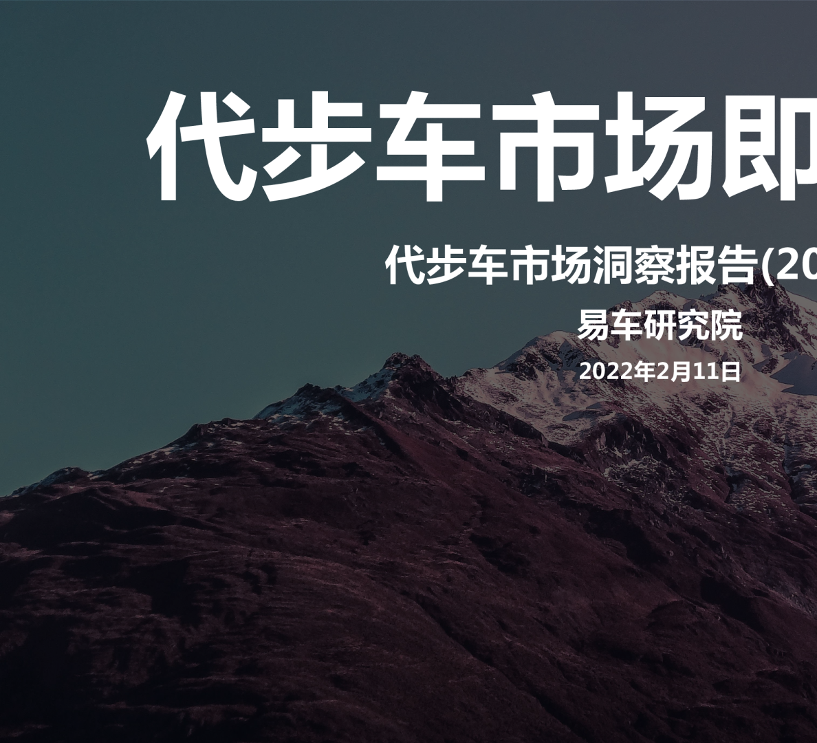 2022年代步车市洞察报告