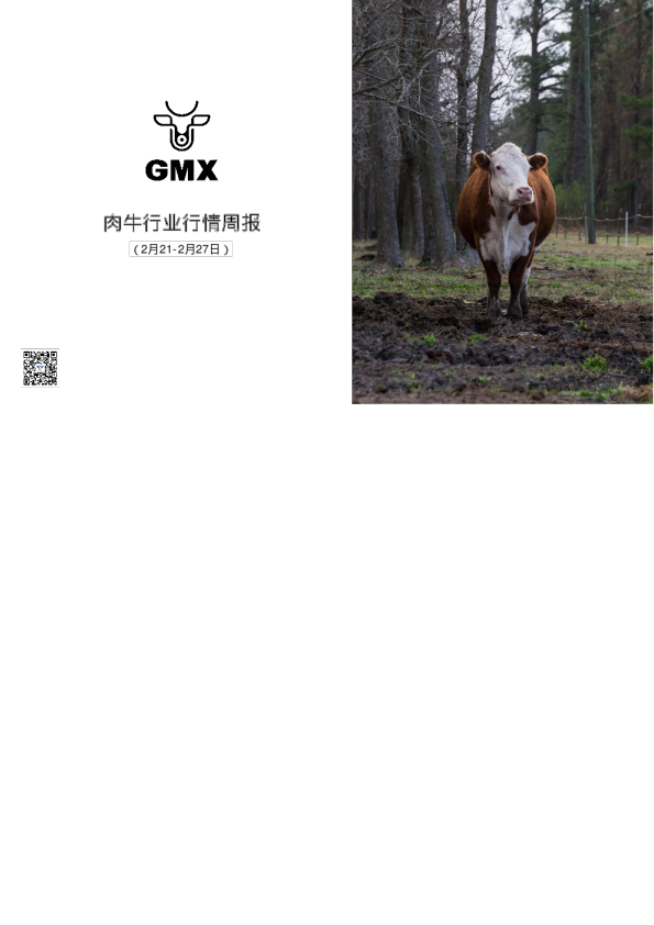 2月4周肉牛行业行情周报