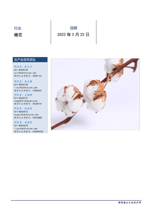 棉花每日报告