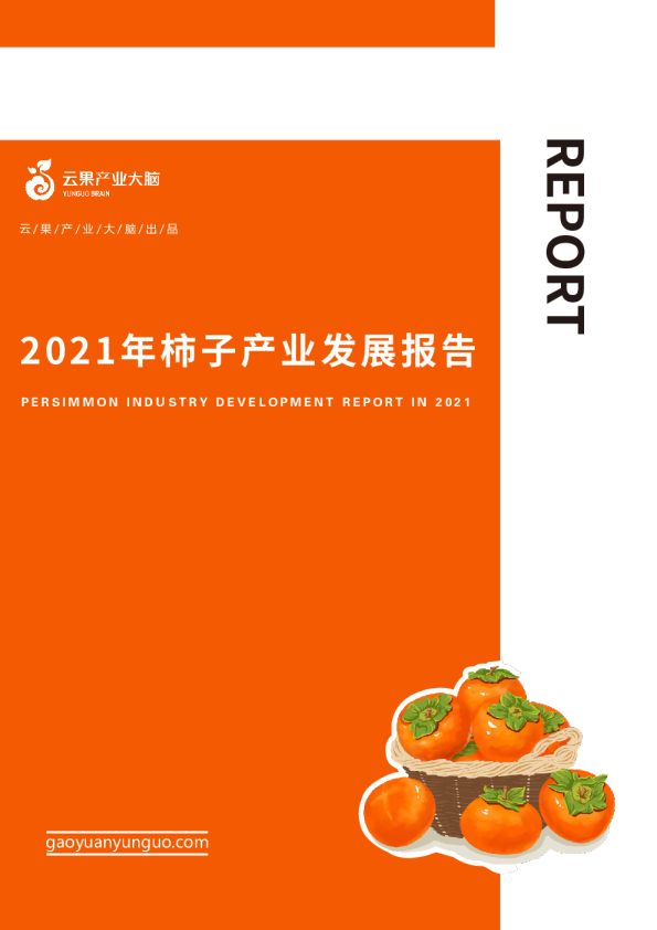 2021年柿子产业发展报告