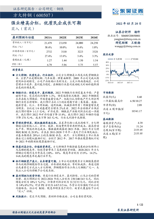 强业绩高分红，优质民企成长可期