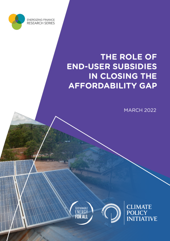 终端用户补贴在缩小可负担性差距中的作用