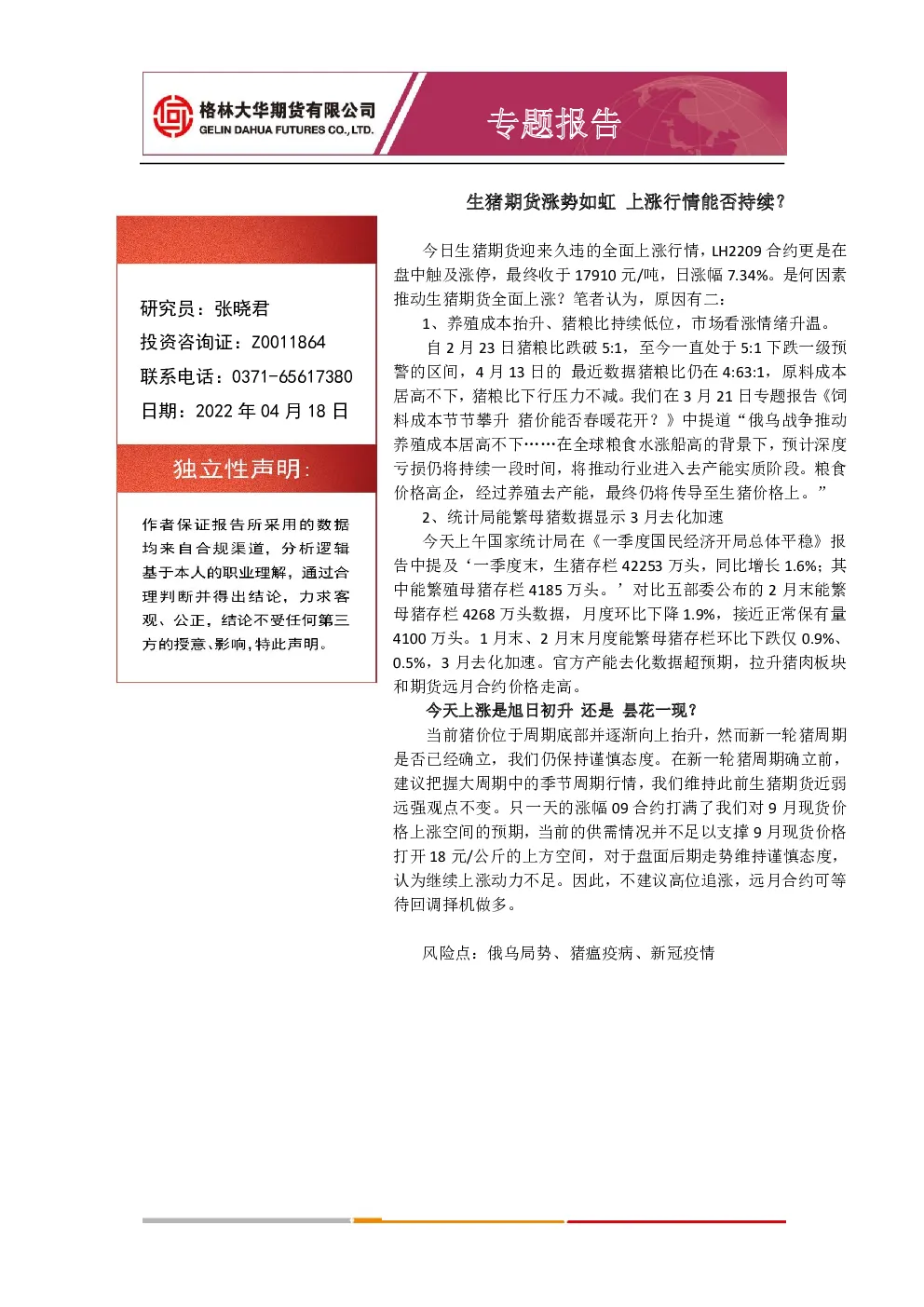 报告封面