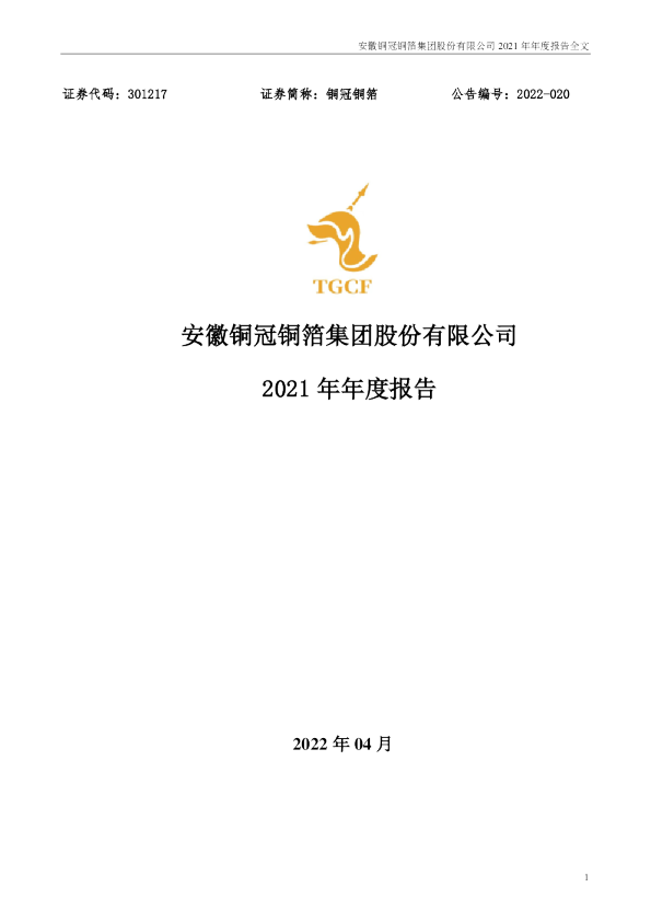 铜冠铜箔：2021年年度报告