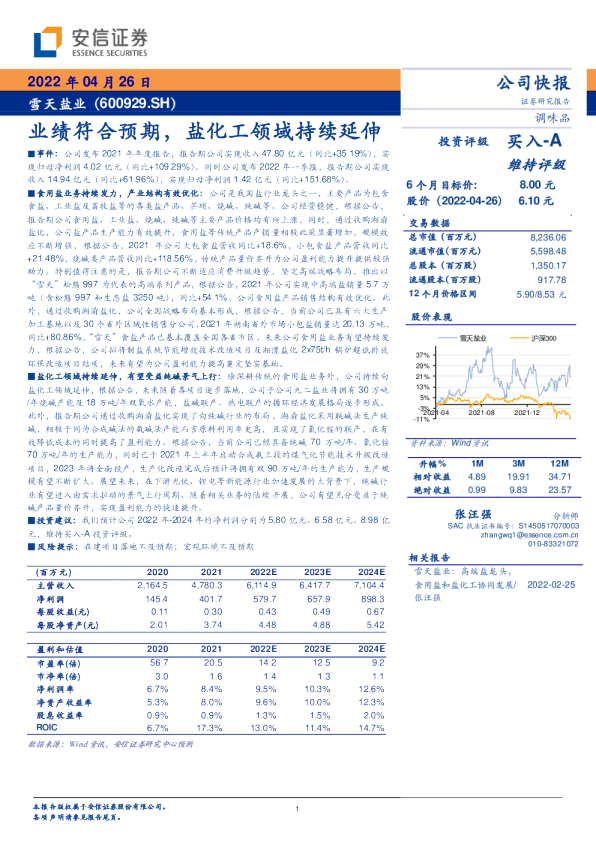业绩符合预期，盐化工领域持续延伸