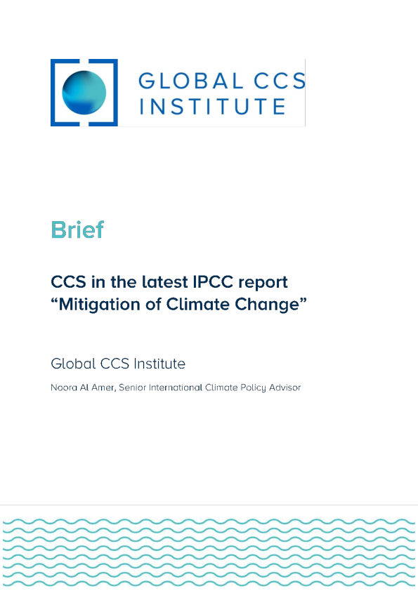 发展与机遇——《伦敦公约》下各国CCS应对方式概览