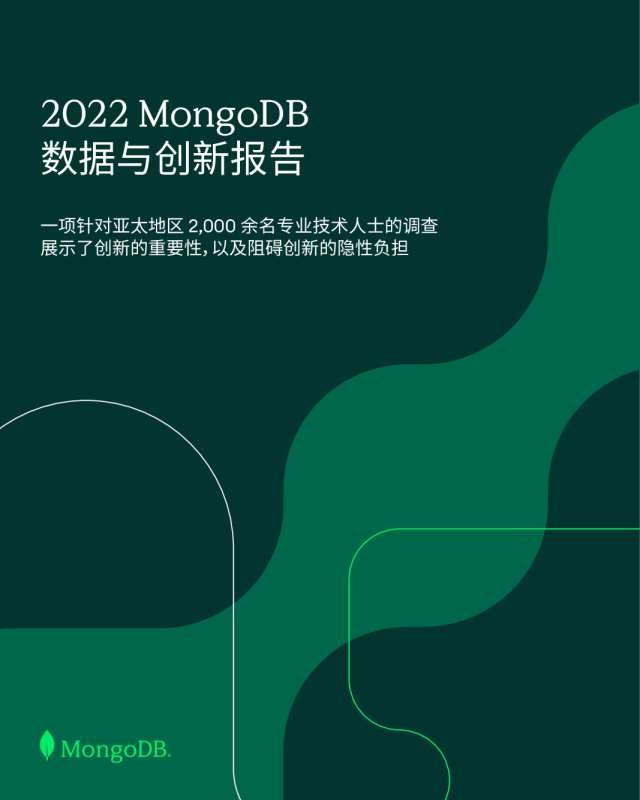 2022数据与创新报告