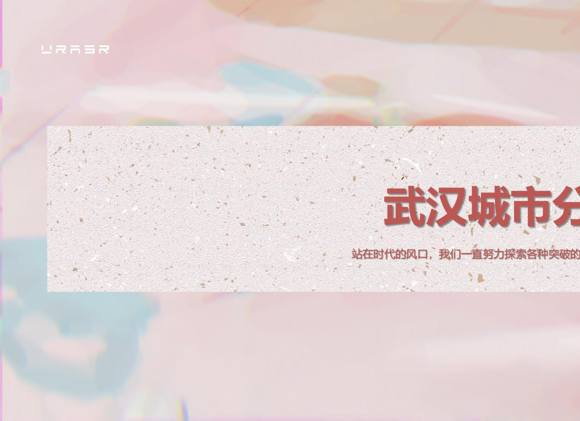《武汉种子城市解读报告》