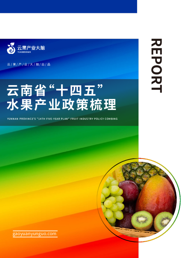 云南省“十四五”水果产业政策梳理