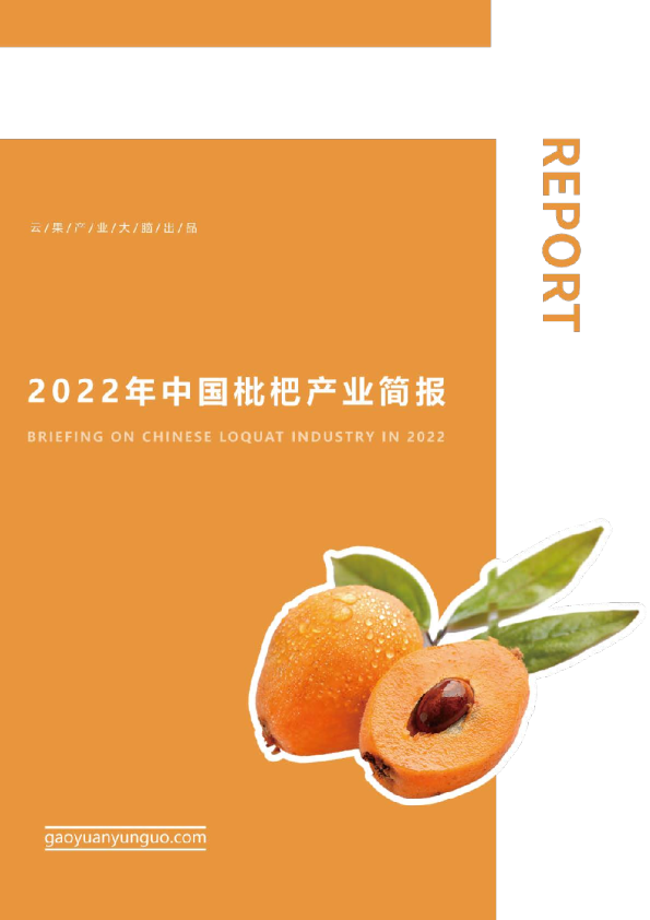 2022年中国枇杷产业简报