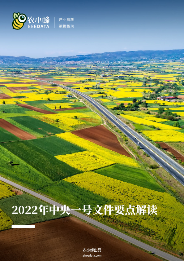 2022年中央一号文件要点解读