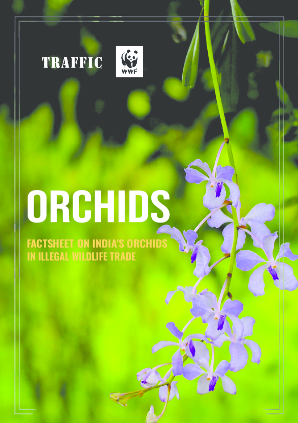 Factsheet on Orchids in India's illegal wildlife trade