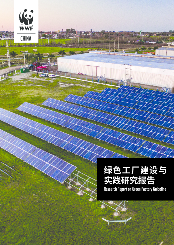 绿色工厂：标准、案例与问题