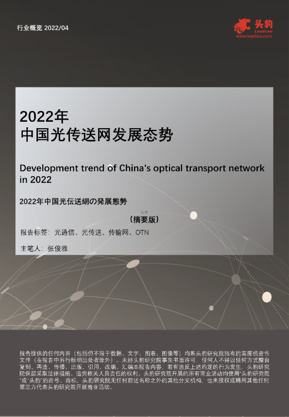2022年中国光传送网发展态势
