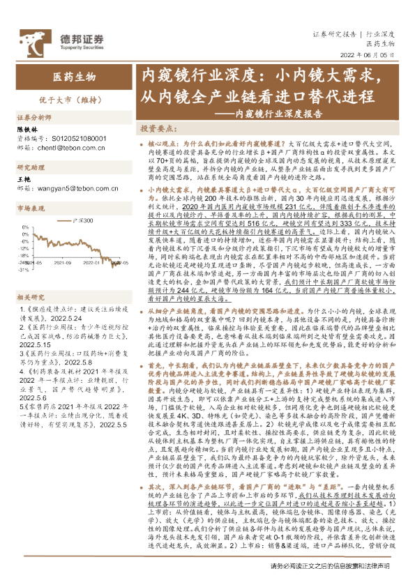 内窥镜行业深度报告：内窥镜行业深度：小内镜大需求，从内镜全产业链看进口替代进程