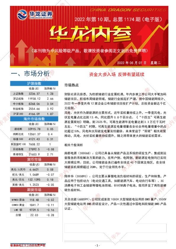 华龙内参2022年第100期，总第1174期（电子版）