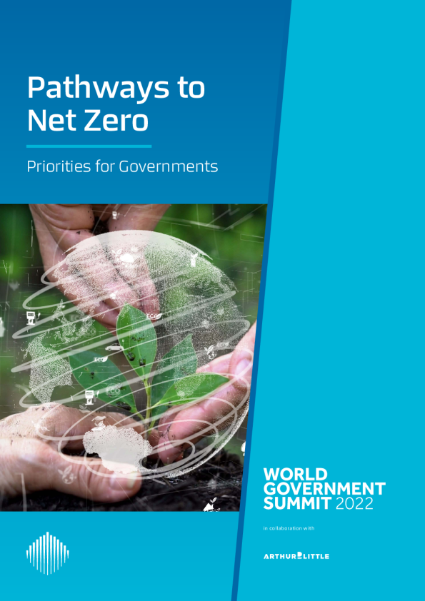 实现净零排放的途径：各国政府的优先事项