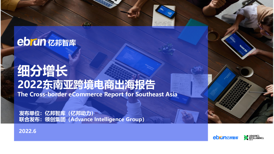 细分增长 2022东南亚跨境电商出海报告