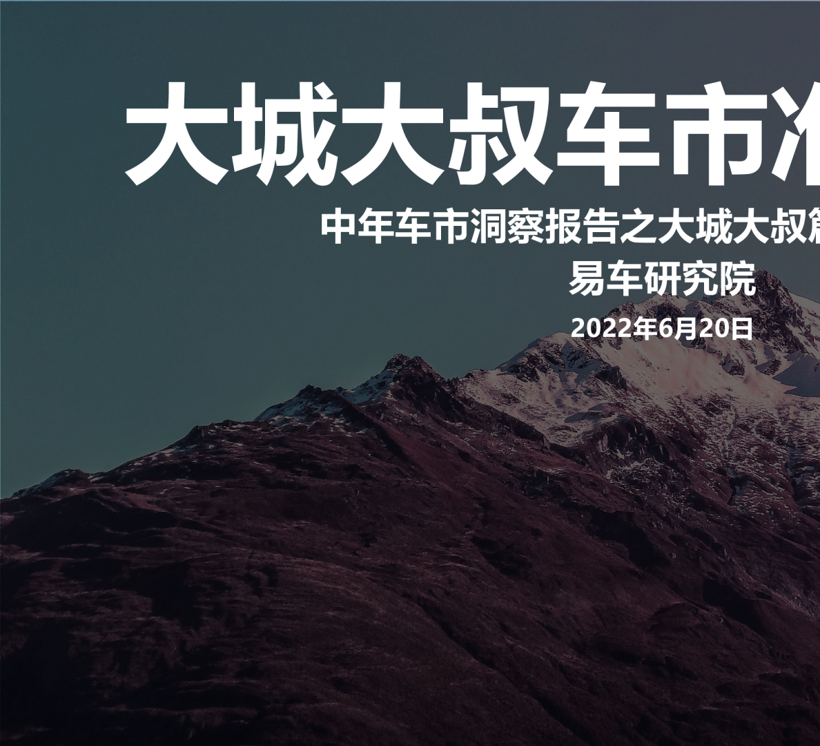 2022大城大叔车市洞察报告