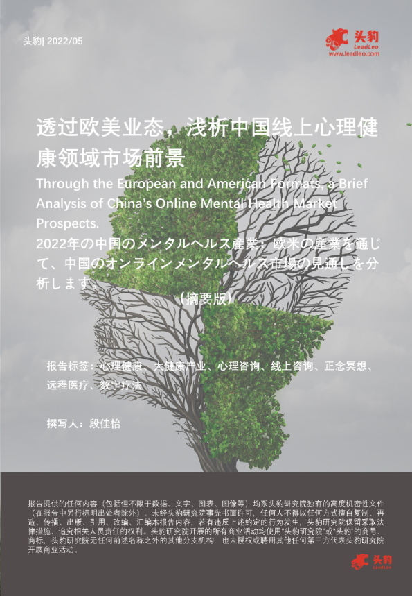 透过欧美业态，浅析中国线上心理健康领域市场前景（摘要版）