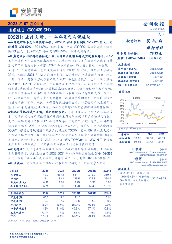 2022H1业绩大增，下半年景气有望延续