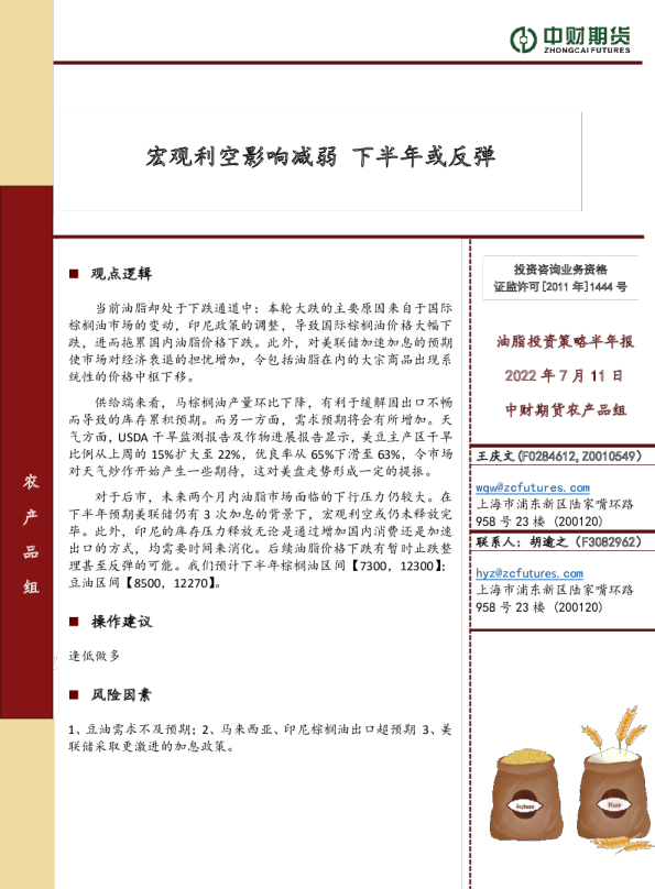 油脂投资策略半年报：宏观利空影响减弱 下半年或反弹