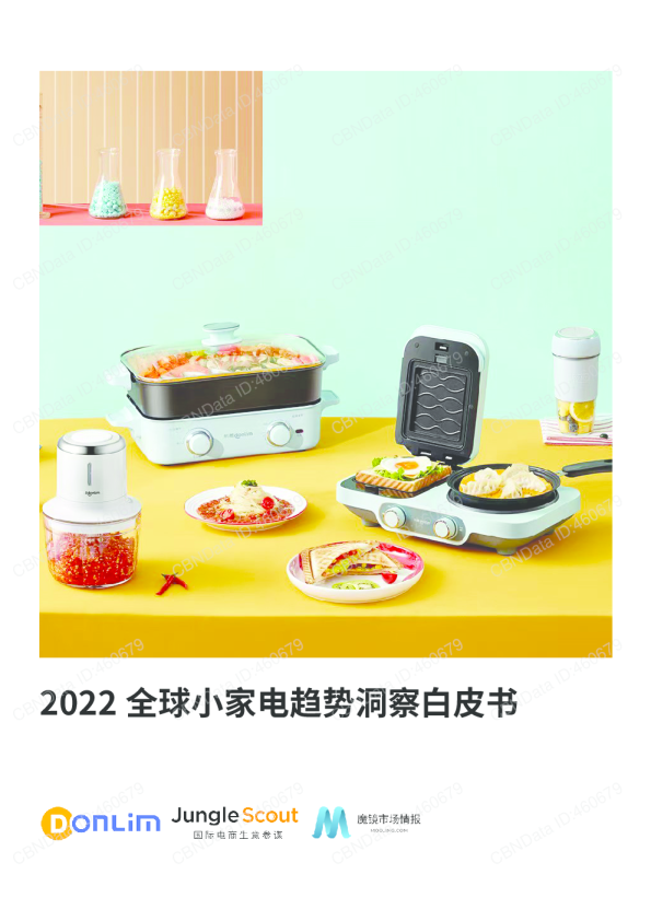 2022 全球小家电趋势洞察白皮书