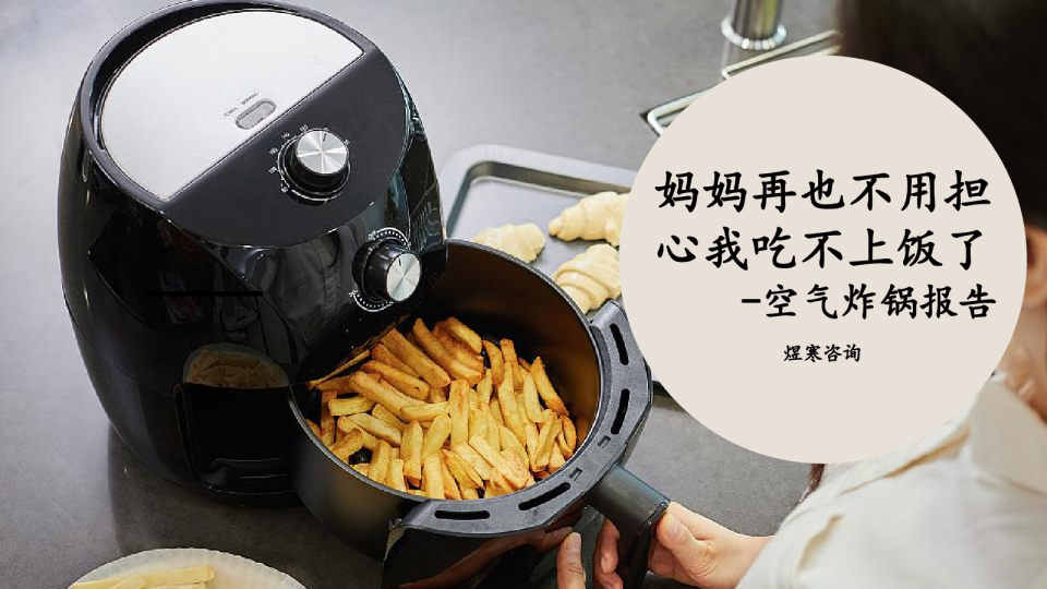 空气炸锅火爆市场解析