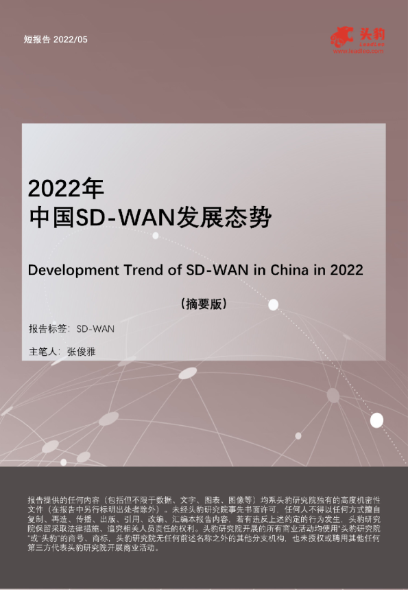2022年中国SD-WAN发展态势（摘要版）