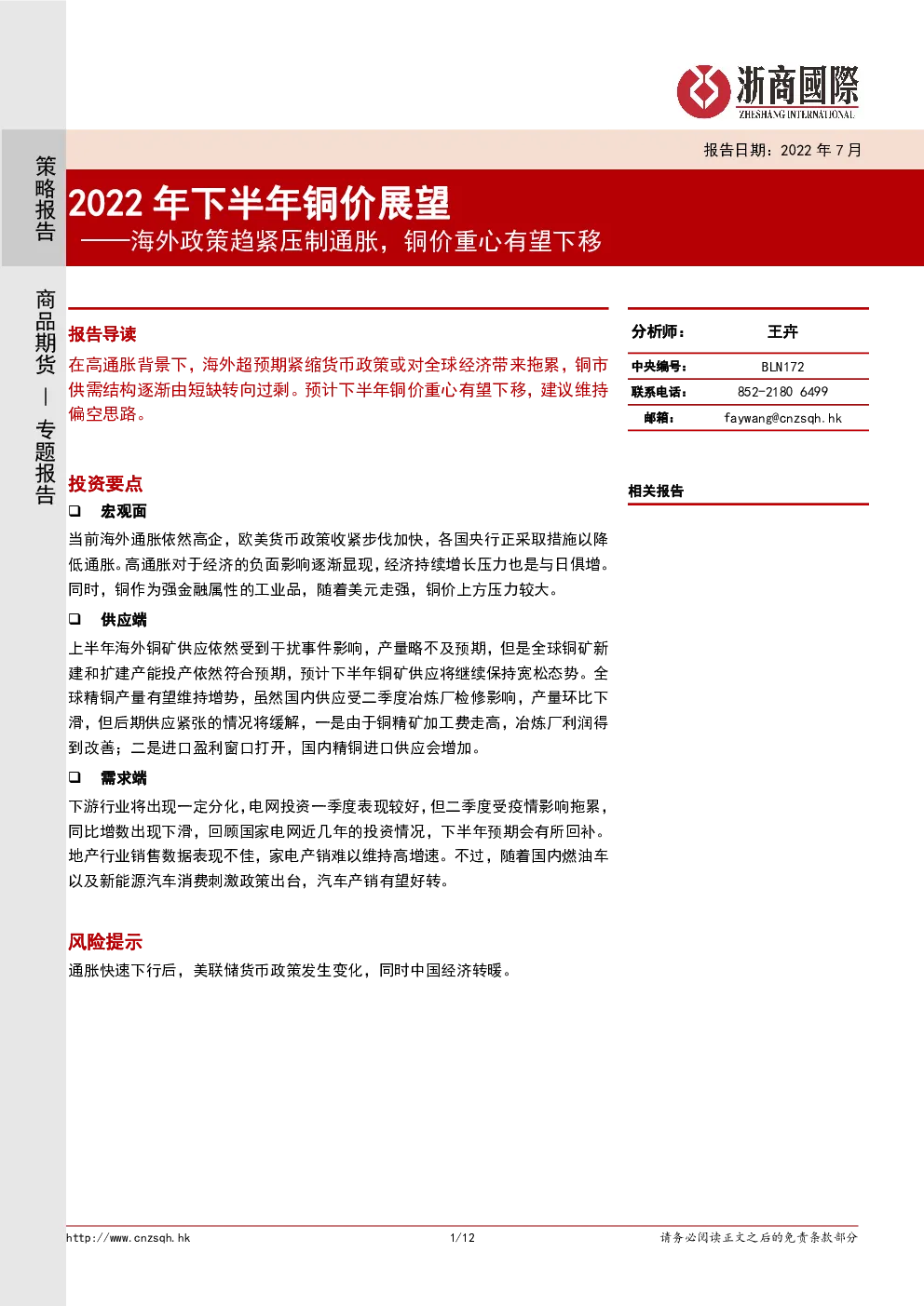 报告封面