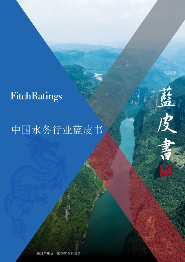 中国水务行业蓝皮书