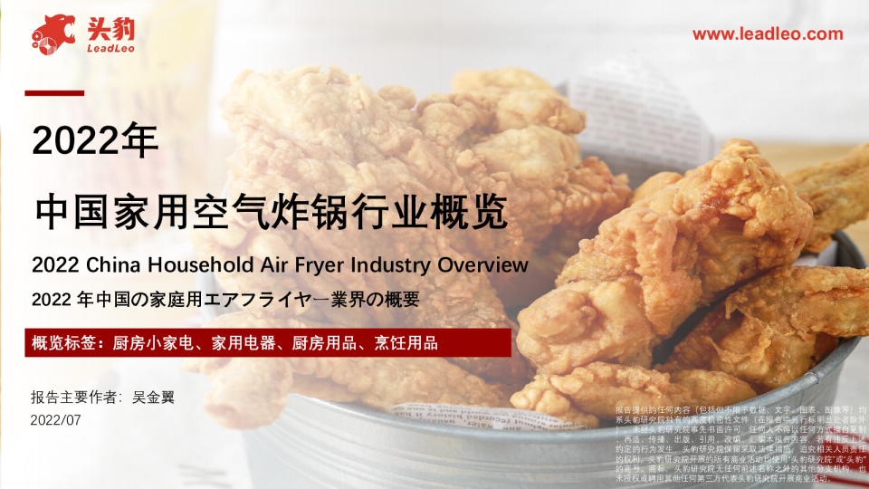 中国家用空气炸锅行业报告