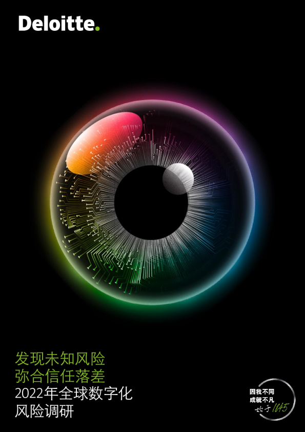 2022年全球数字化风险调研
