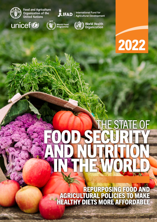 2022年世界粮食安全和营养报告（EN）