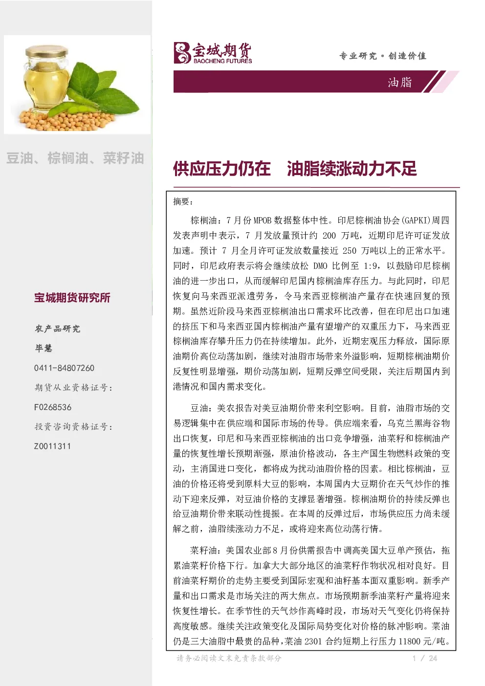 报告封面