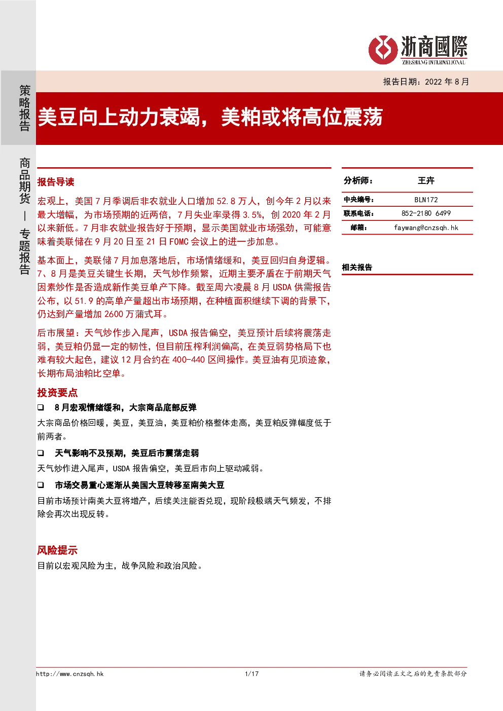 报告封面