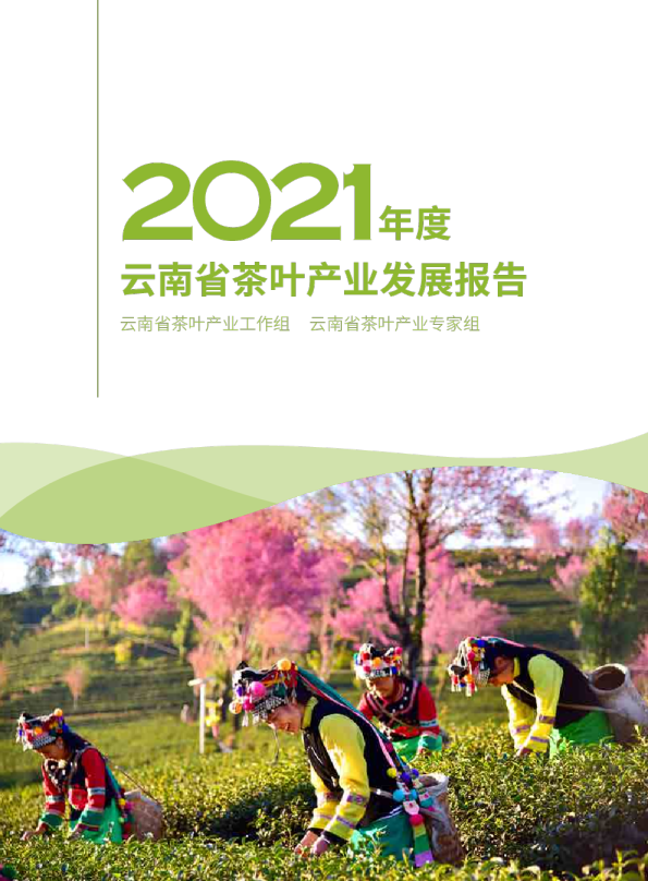 2021年度云南省茶叶产业发展报告