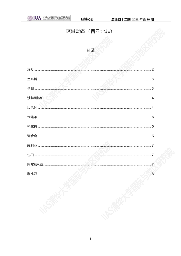《区域动态》第四十三期-西亚北非动态