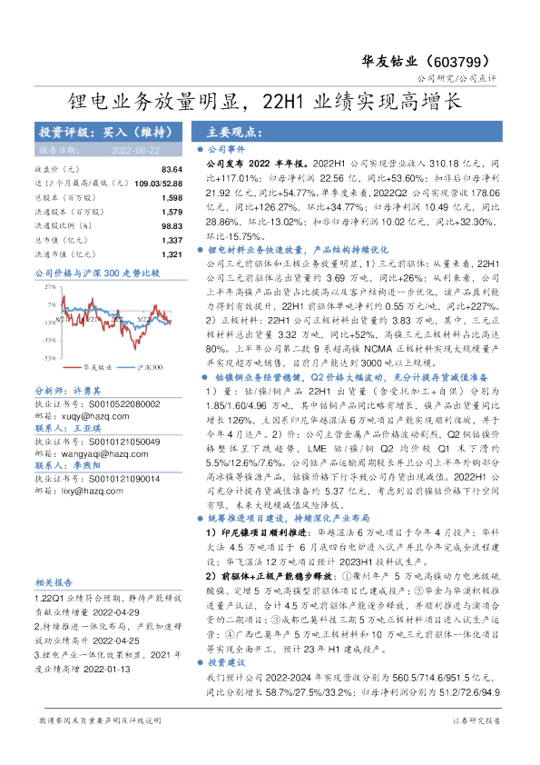锂电业务放量明显，22H1业绩实现高增长